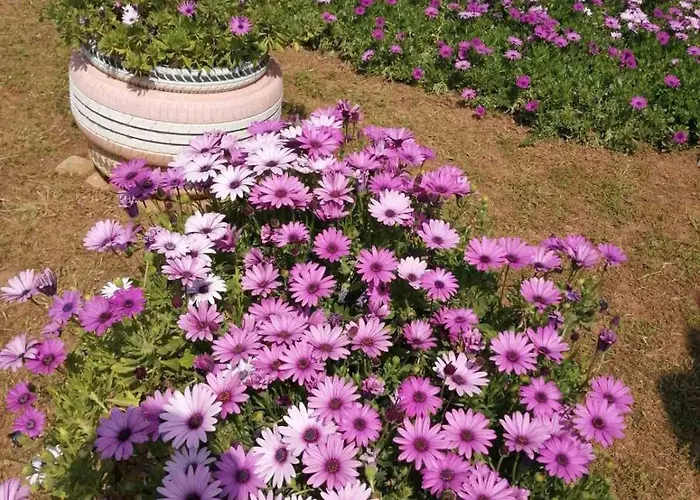 Monica's Semesterbostad *