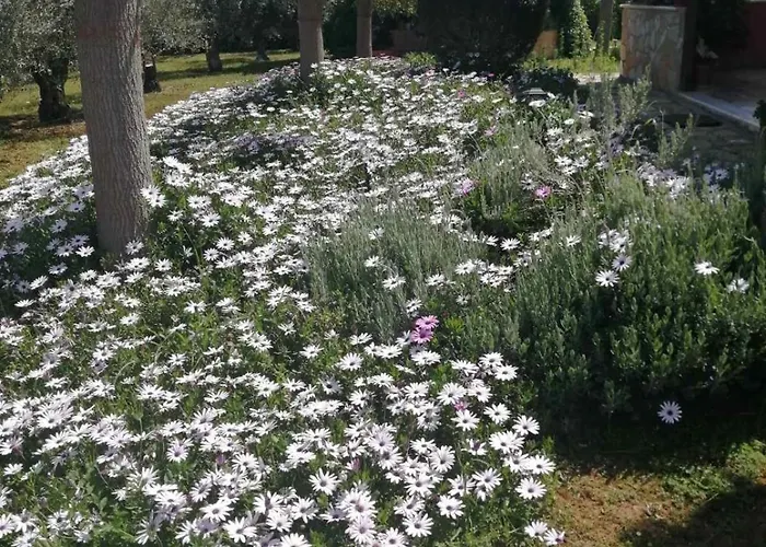 Monica's Semesterbostad *