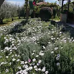 Monica's בית נופש נאפפליו