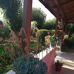Monica's