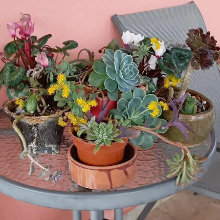 펜션 Monica's 나플리오