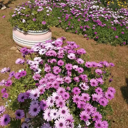 Monica's Vakantiehuis *