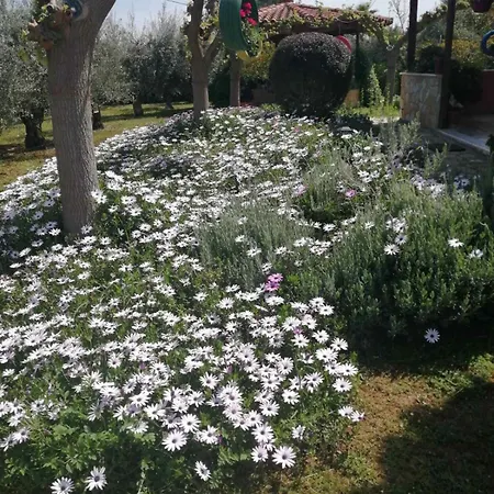 Monica's Vakantiehuis *