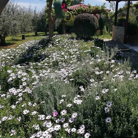 Monica's Vakantiehuis Nauplion