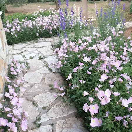 Monica's Vakantiehuis