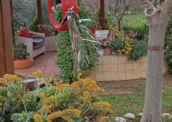 בית נופש Monica's