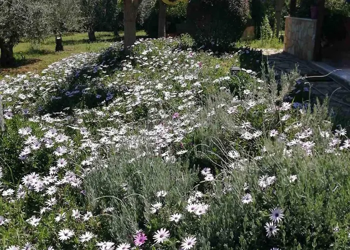 Monica's בית נופש נאפפליו